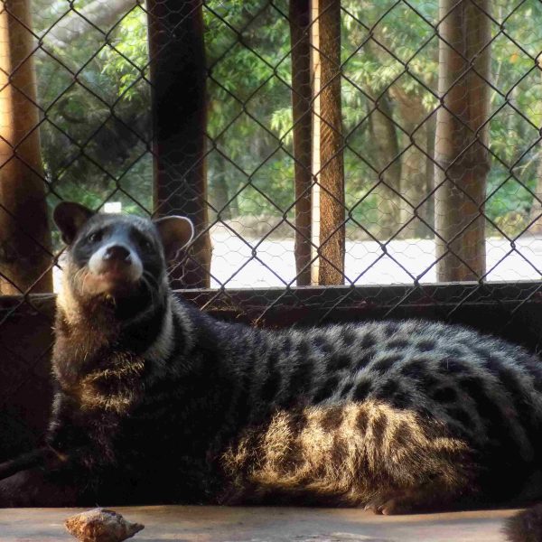 ANIMAL SANCTUARY 